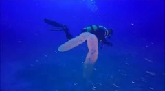 Salps - vanzemaljski rođaci osobe